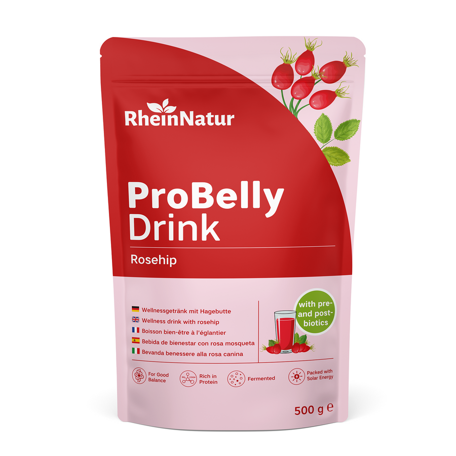 RheinNatur ProBelly Drink Hagebutte 500 g | fermentiert & proteinreich