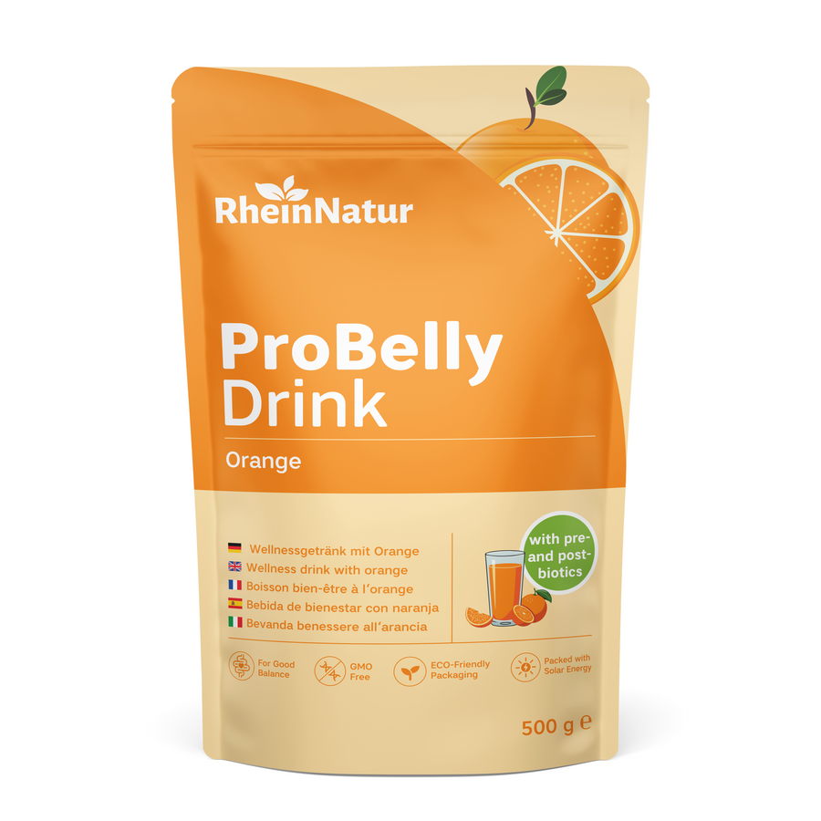 RheinNatur ProBelly Drink Orange 500 g | fermentiert & proteinreich
